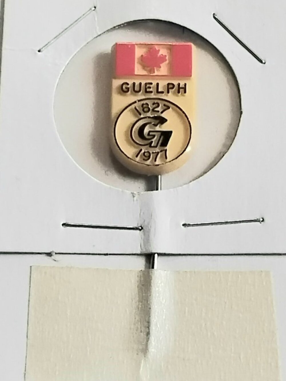 4/$20 Vintage Guelph 1827-1977 Plastic/Enamel Collector's Pin!!